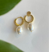 Argollas Perlas Grandes Sublime